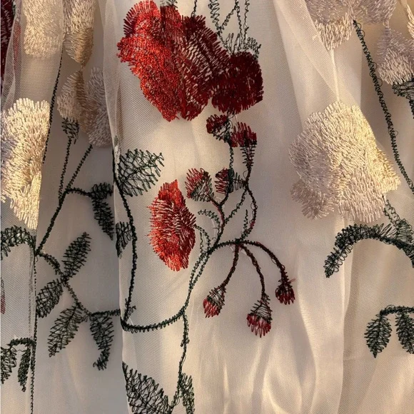 NWT Chicwish Floral Embroidered Mesh Tulle Midi Skirt - Picture 2 of 4